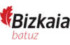 tpv ticket bai bizkaia