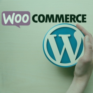 conector sage50 woocommerce